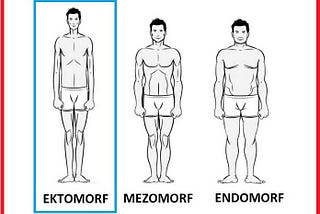 What is your body type? Ectomorph Mesomorph or Endomorph