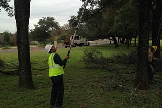 Tree Prunning Austin — Certified Arbor Care (512) 671–8733