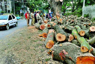 An alternate way of looking at Delhi tree crisis and remedy