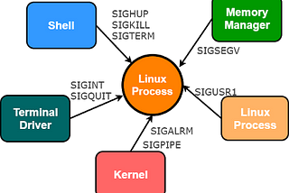 Linux programming |C — Signals