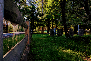In the gloam, I lean against the split rail fence that borders the cemetery and ask “Where did all these webs come from?”