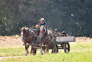 Team Work and Horse Training