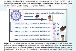 ¿De dónde salen los virus nuevos?