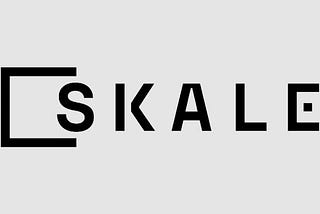 CRASH COURSE FOR BEGINNERS IN SKALE NETWORK FOR WIDE SCALE ADOPTION