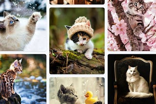 The Best Free Stock Images of Animals for Your Projects
