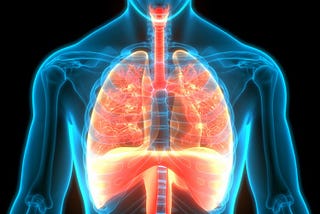 Respiratory System and Respiratory Disorder