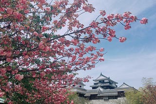 The Joy of Completing Japanese N3 Language Studies