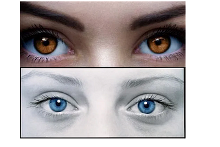UPDATED BROWN-EYED/BLUE-EYED EXERCISE