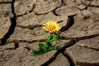 Water Crisis: Why Drinkable Water is Becoming Scarce on Earth