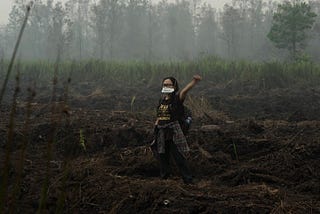 What’s up with Indonesia’s haze crisis?