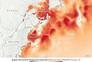 Climate Update: October 2018