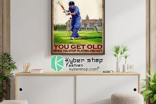 HOT You don’t stop playing cricket when you get old poster