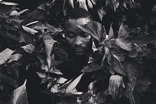 After all, Ubuntu: “Even Beasts Need Love Too”.