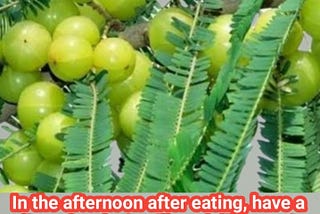 In the afternoon after eating, have a slice of amla; it will work like magic.
