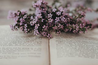 I Fell in Love Quietly In the Space Between Her Words