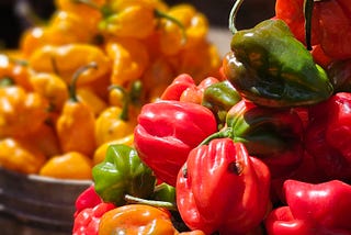 Gonana: Driving Crypto Adoption in Africa by Empowering Smallholder Farmers