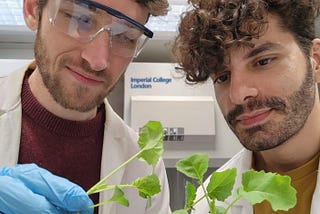 These lab-grown plants can clean up polluted land from heavy metals