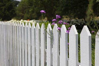 a white fence with purple flowers growing through the middle
