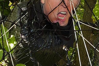 Trump’s Law Firm of Dewey, Cheatem’, and Howe