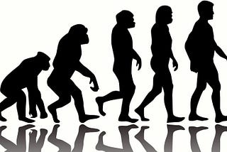 About Human: The Origins of Us