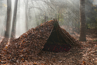 The Art of Wilderness Survival: Essential Skills and Techniques