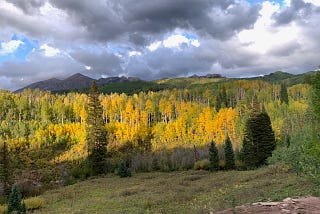 Two Trips to Magnificent Kebler Pass, Colorado