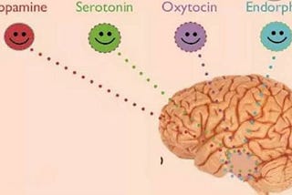 Brain Happy hormones😊😊