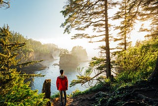 Moments from the Olympic National Park