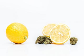 Terpenes: Nature’s Elixirs