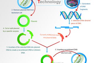 DNA technology and recombinant DNA (rDNA) technology for cloning and sequencing of genes