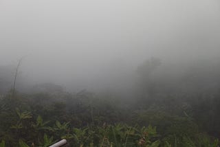 Mountain Living