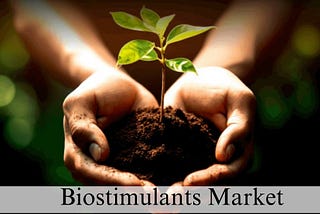 Biostimulants Market Size, Growth and Trends to 2032