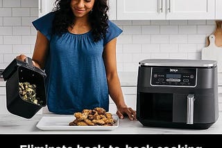 Air Fryers The Basics: Everything You Need to Know About them