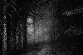 Lost in the Darkness