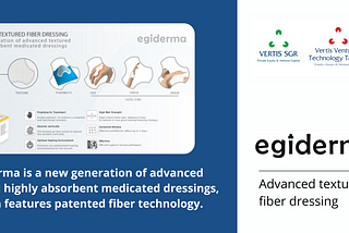 EGIDERMA: advanced textured fiber dressing