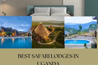 Discover Uganda’s Top 20 Safari Lodges!