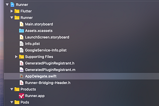 How to fix iOS crash during the start Firebase configure?