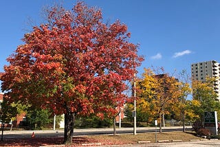 Fall: Healthy Habits