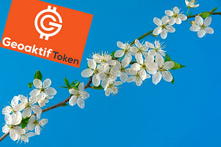 Geoaktif Token — GETO — Will Be Lanuched Soon