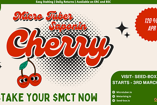 Stake & Earn: Saponin Cherry Staking Pool Goes Live on Seed-Box.io! 🍒🚀