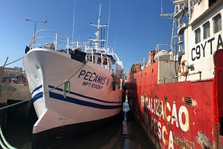 The Ghost Fleet Of Mozambique