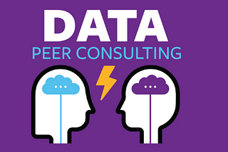 Introducing the Spring 2021 Data Peer Consulting Team