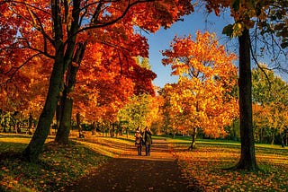 Photography Poems: The Beautiful Changes