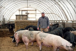 Animal Care on My Farm: Combining Modern Practices with an Old-School Feel