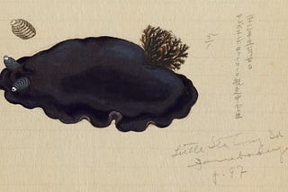 carta a la sierra y al llano