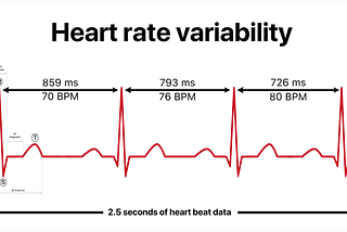 Unveiling the Truth Behind Heart Rate Variability (HRV): Is It Really Meaningful?