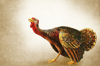 I Thought Turkeys Could Fly.