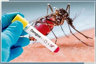 Dengue in India: An Elaborate Look at Statistics, Death Rate, Recovery Rate, Prevention, and Cure