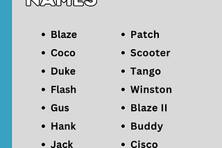 150+ New Abaco Barb Hourses Names