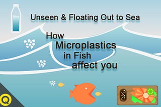 Unseen and Floating Out to Sea: How Microplastics in Fish Affect You